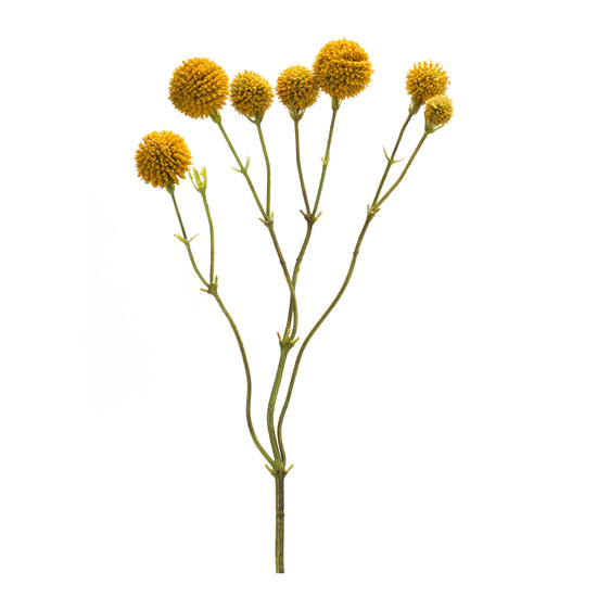 Yellow Pod Twig Spray, Set of 6