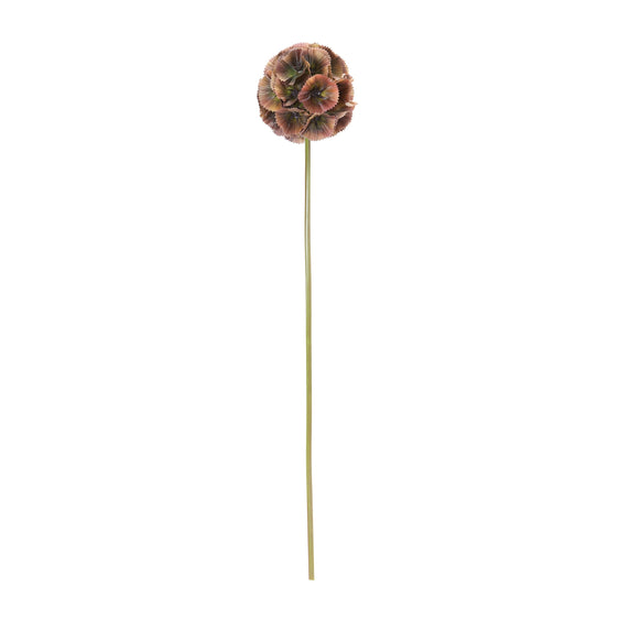 Floral Pod Stem, Set of 6