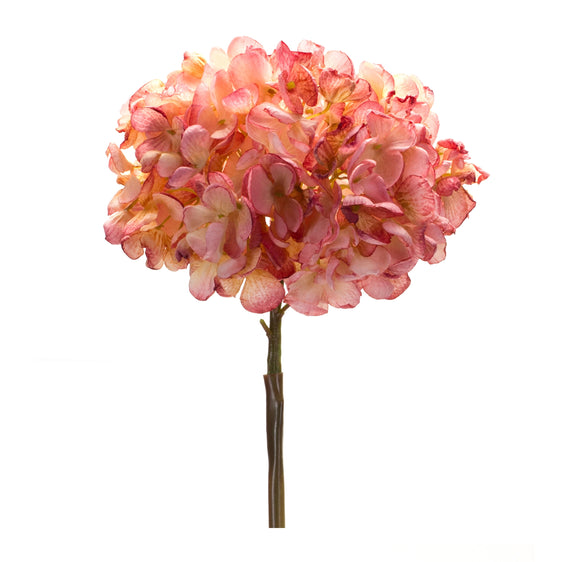 Coral Pink Hydrangea Flower Stem, Set of 6