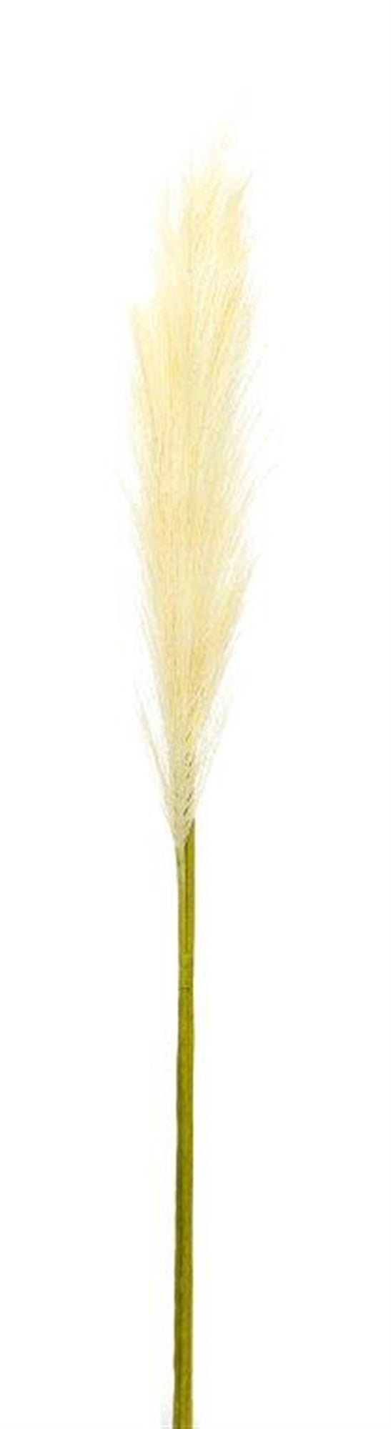 Cream Pampas Glass Stem, Set of 4