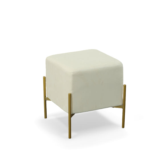 Larenta-Upholstered-Accent-Stool/Footrest-Accent-Stool